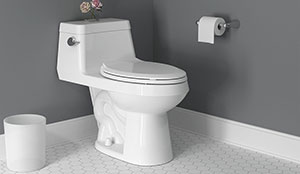 American Standard Colony One Piece Chair Height Elongated Toilet
